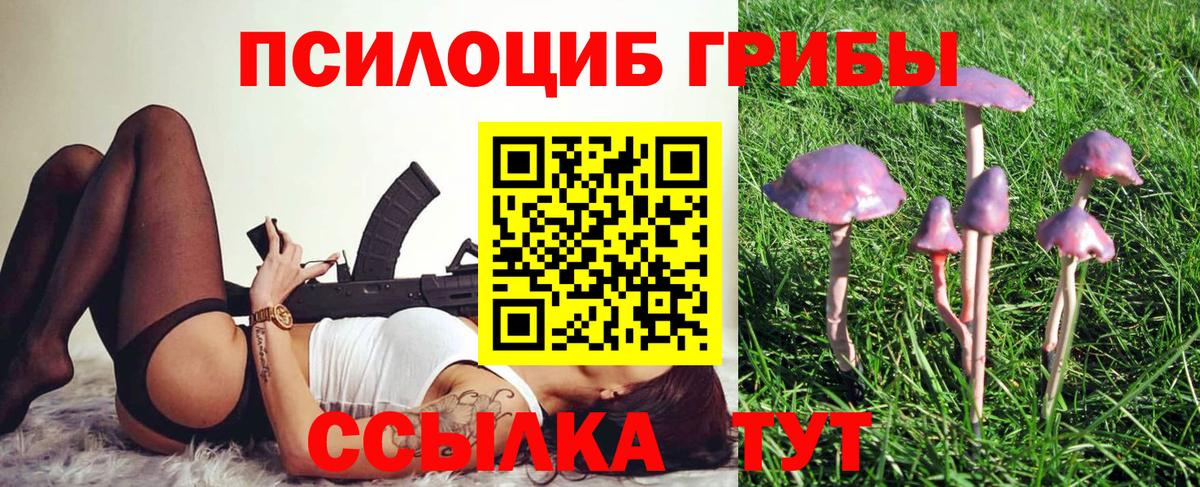 Ступино  Галлюциногенные грибы MAGIC MUSHROOMS  Вход с VPN  Галлюциногенные грибы мухоморы 